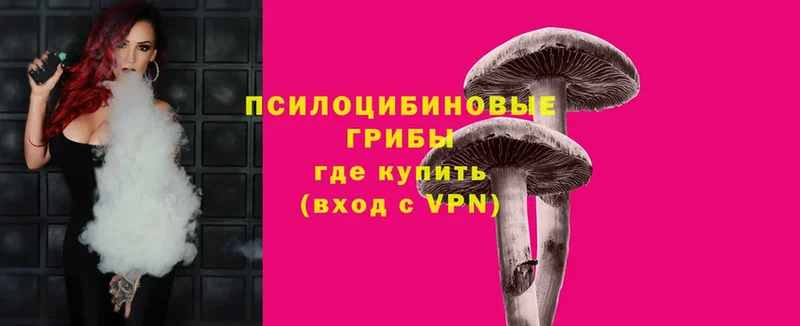 Псилоцибиновые грибы Magic Shrooms  Гудермес 